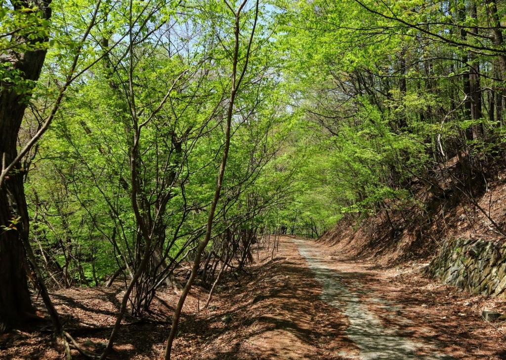 f:id:mountainlog:20180703222642j:plain f:id:mountainlog:20180703222642j:plain