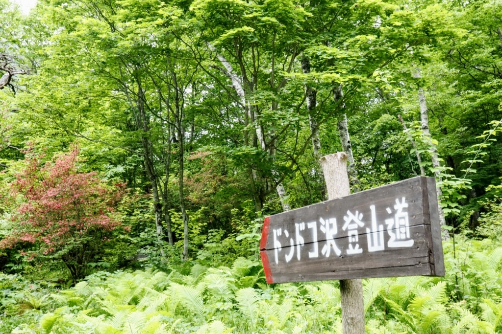 f:id:mountainlog:20180721140400j:plain f:id:mountainlog:20180721140400j:plain