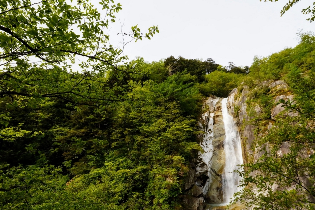 f:id:mountainlog:20180721142020j:plain f:id:mountainlog:20180721142020j:plain