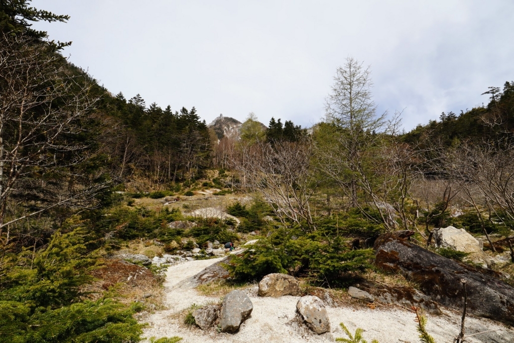 f:id:mountainlog:20180721143209j:plain f:id:mountainlog:20180721143209j:plain