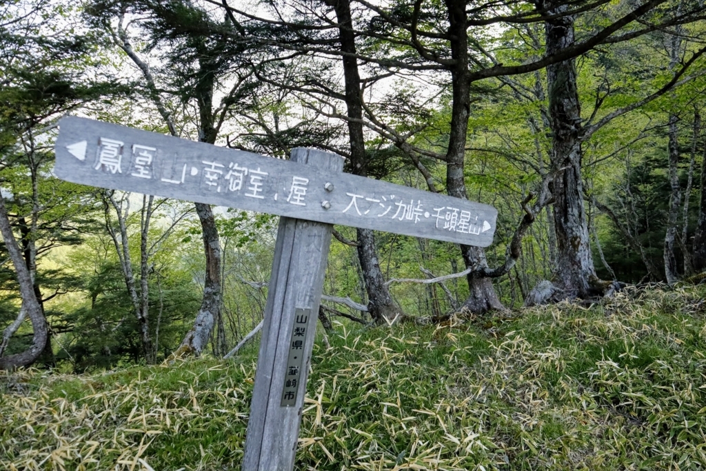 f:id:mountainlog:20180729104802j:plain f:id:mountainlog:20180729104802j:plain