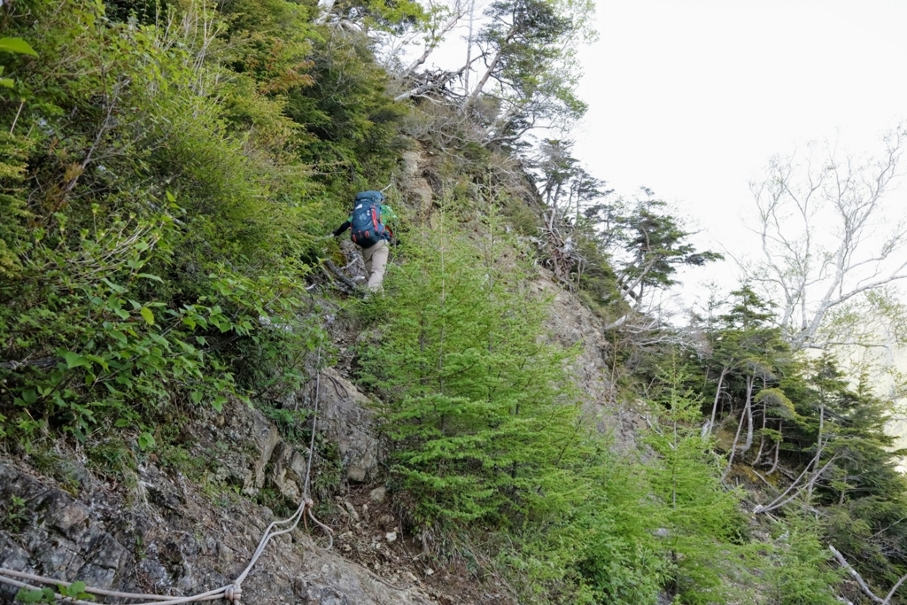 f:id:mountainlog:20180729105845j:plain f:id:mountainlog:20180729105845j:plain