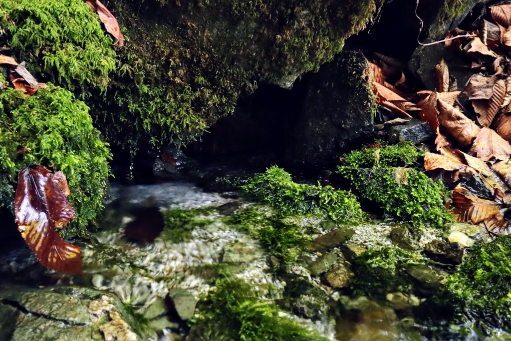 f:id:mountainlog:20180729120232j:plain f:id:mountainlog:20180729120232j:plain
