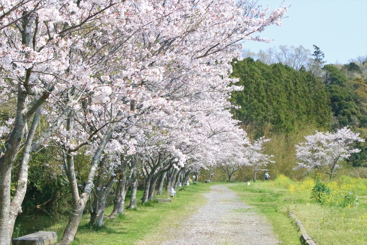 f:id:mountori:20200512090855j:plain