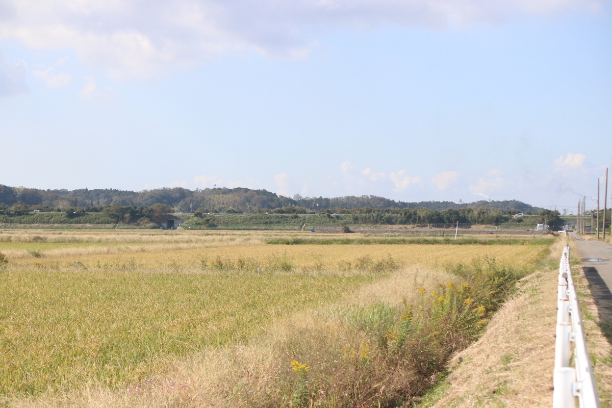 f:id:mountori:20200512092207j:plain f:id:mountori:20200512092207j:plain