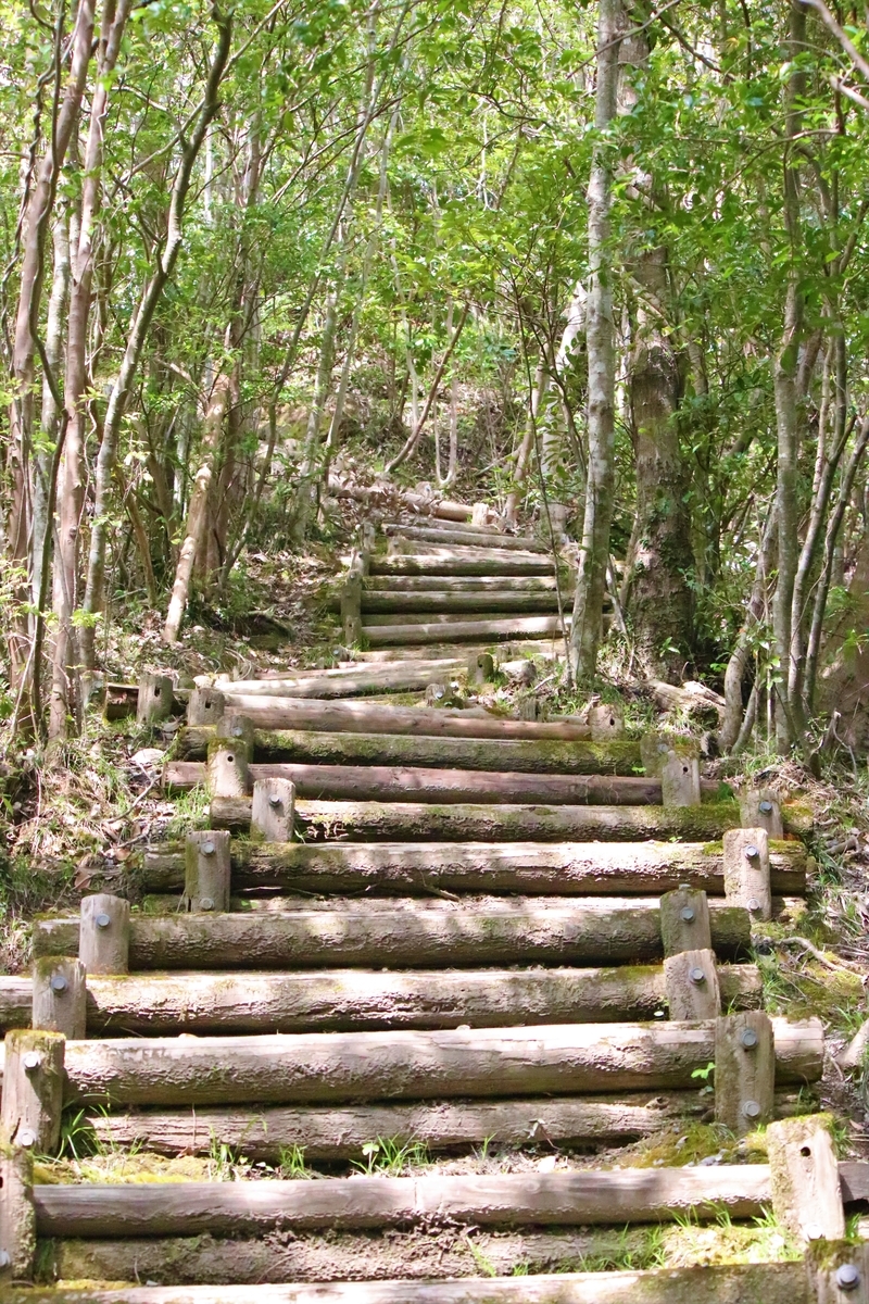 f:id:mountori:20200522181428j:plain f:id:mountori:20200522181428j:plain