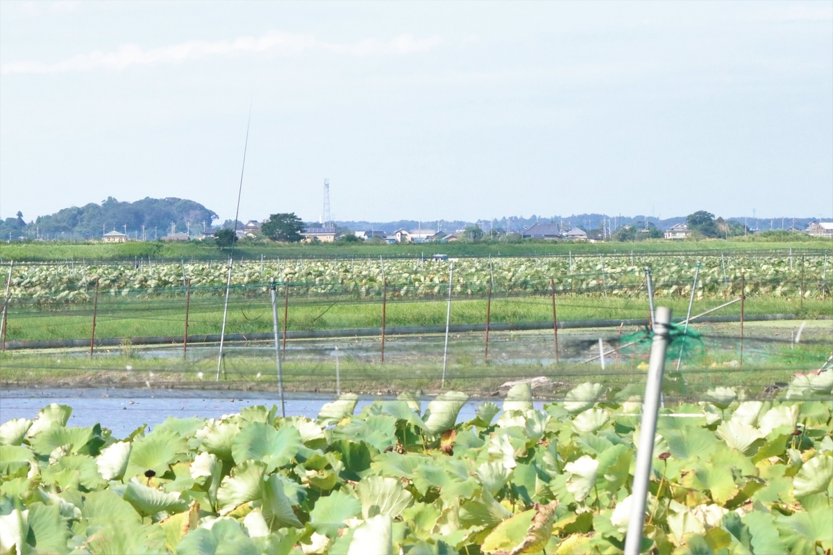 f:id:mountori:20201110211641j:plain