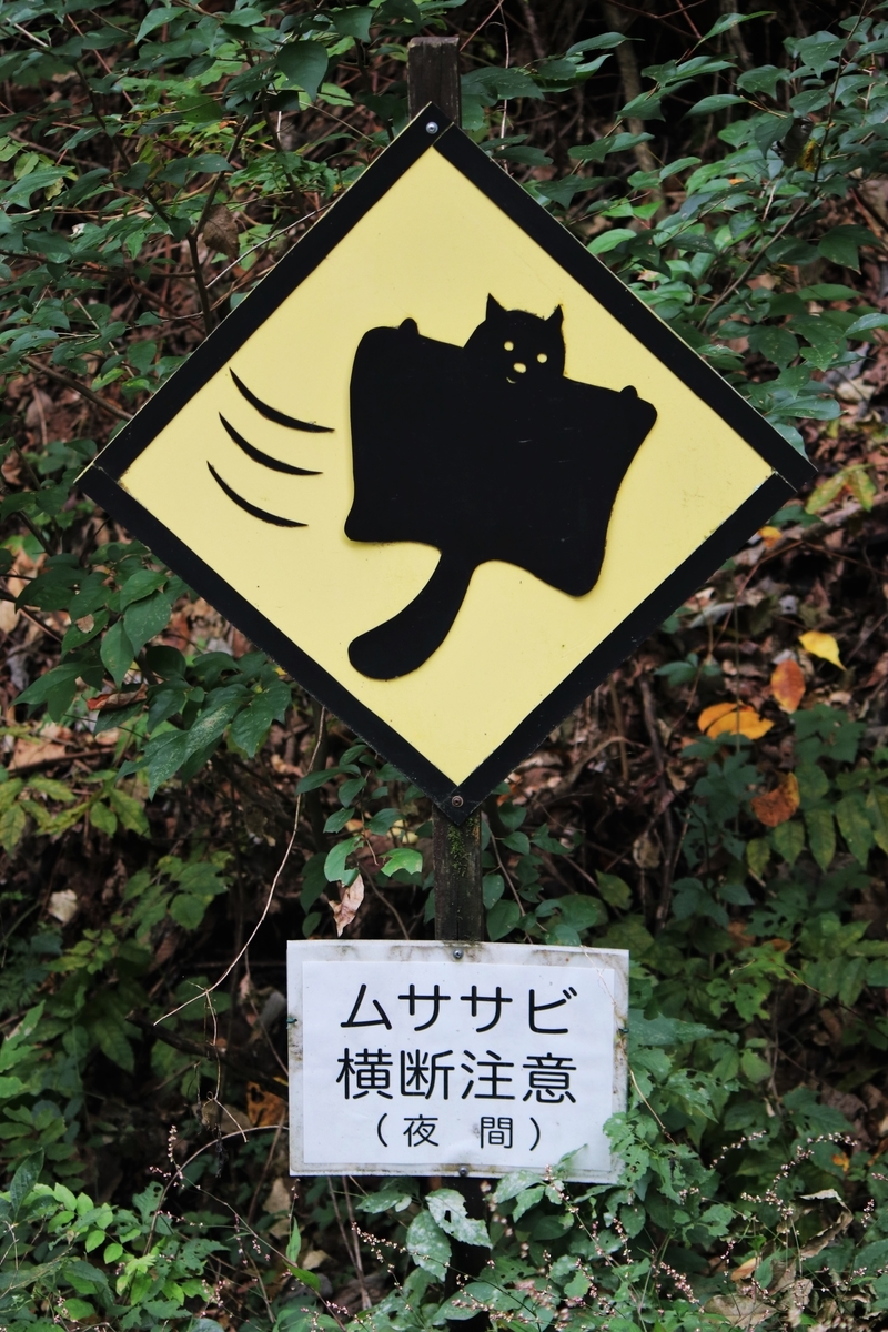 f:id:mountori:20201124174834j:plain