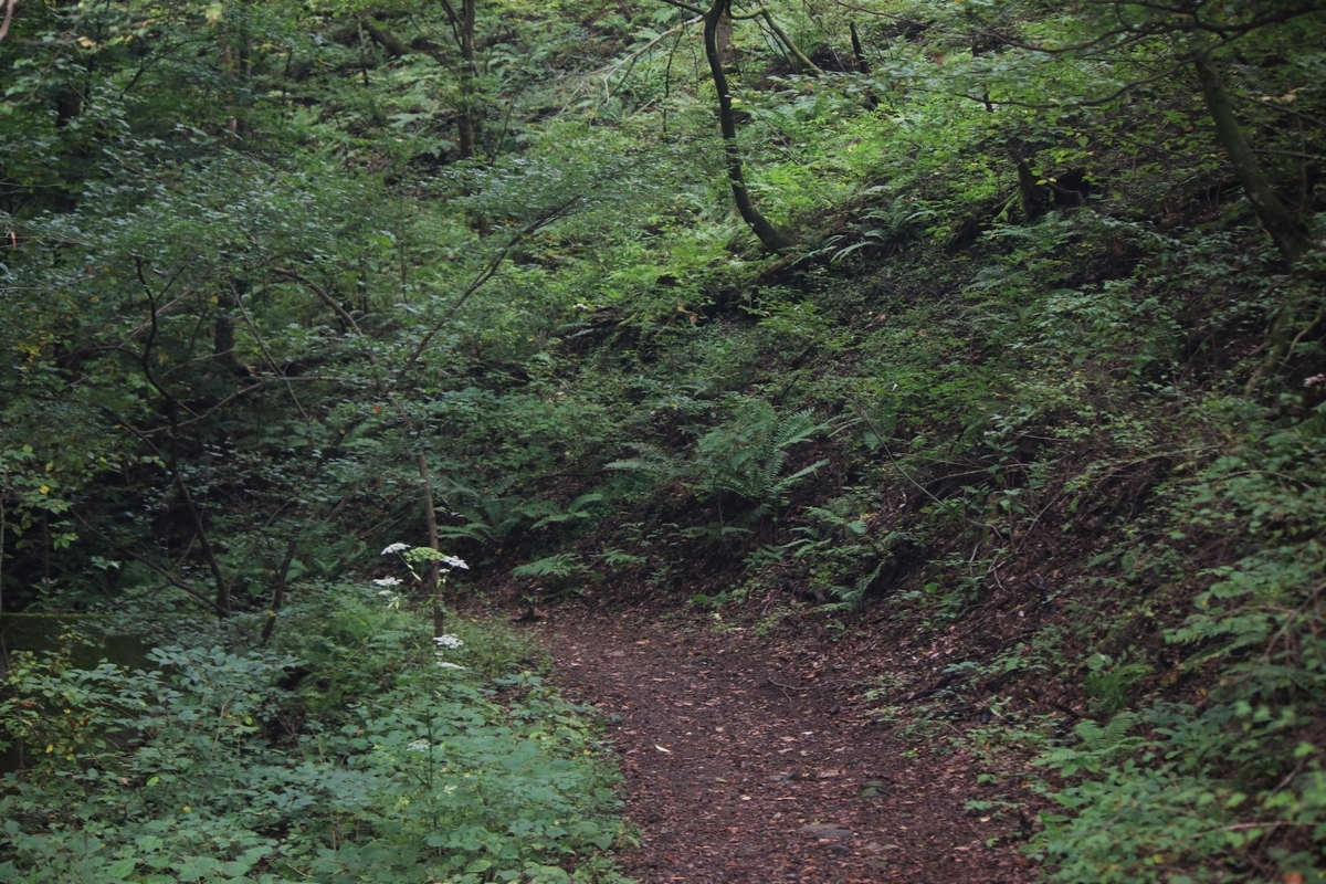 f:id:mountori:20201124175219j:plain