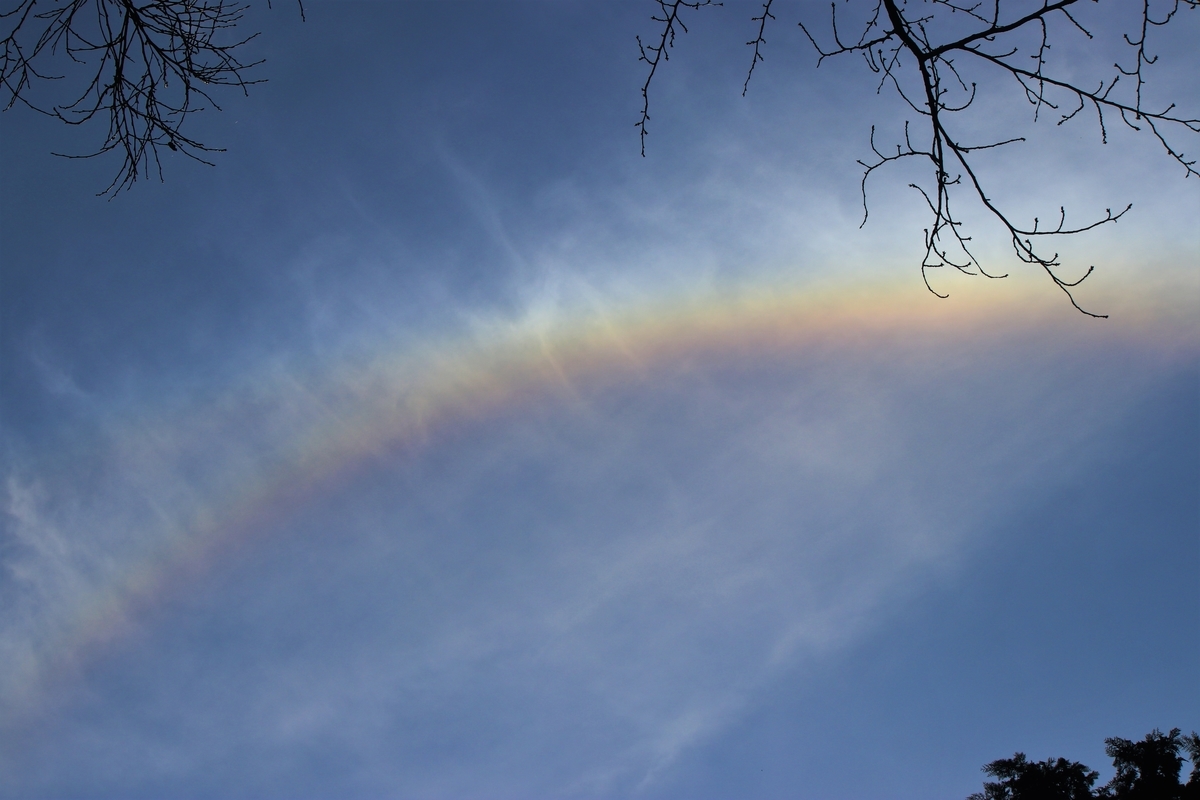 f:id:mountori:20201211183712j:plain