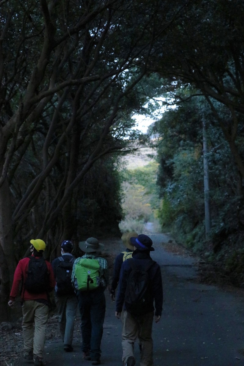 f:id:mountori:20201214223907j:plain