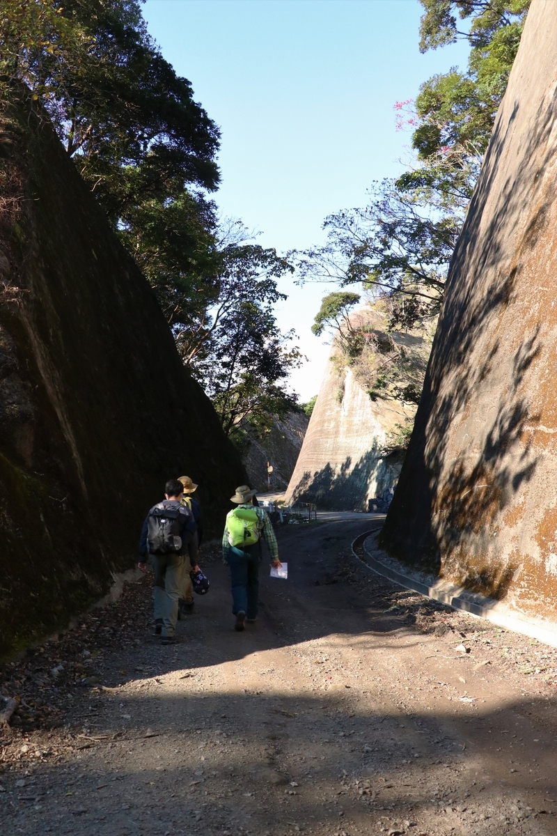 f:id:mountori:20201214224726j:plain