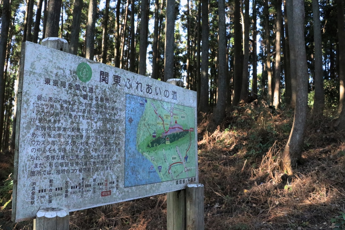 f:id:mountori:20201215200108j:plain