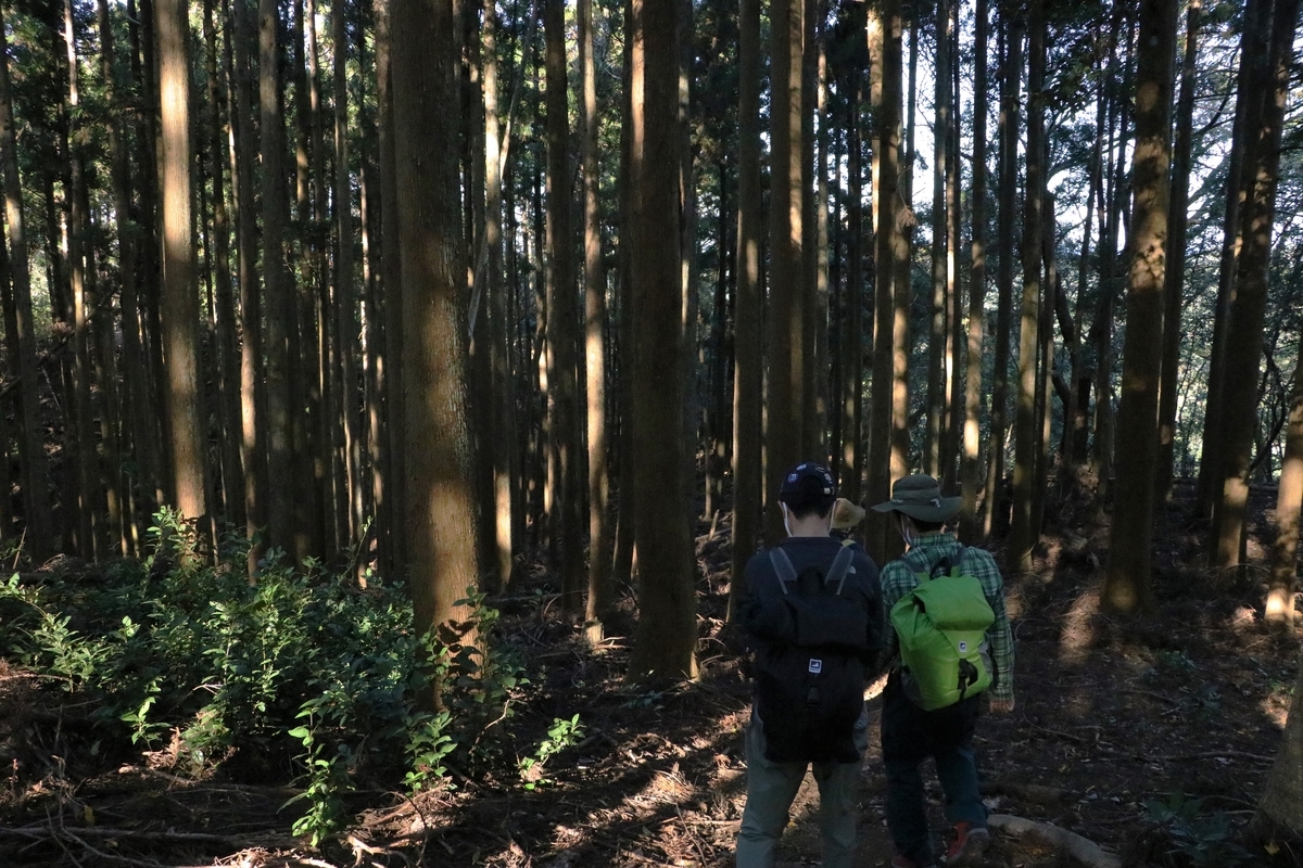 f:id:mountori:20201215201326j:plain
