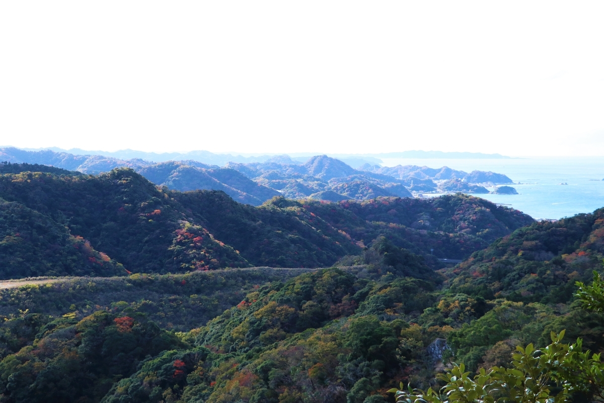 f:id:mountori:20201216185936j:plain