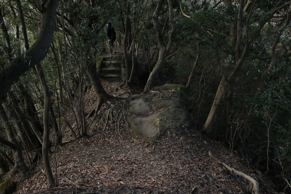 f:id:mountori:20201216190848j:plain