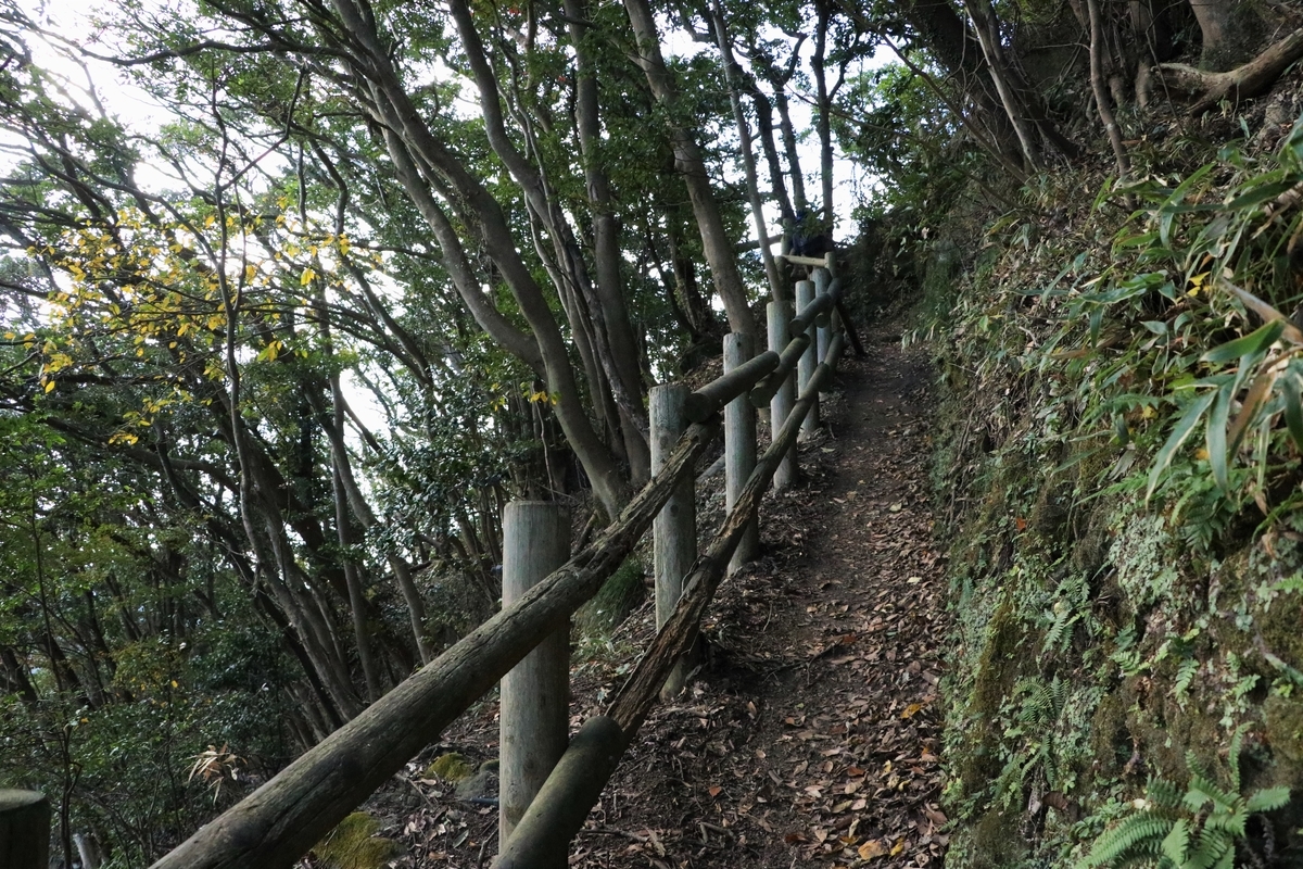 f:id:mountori:20201216191543j:plain