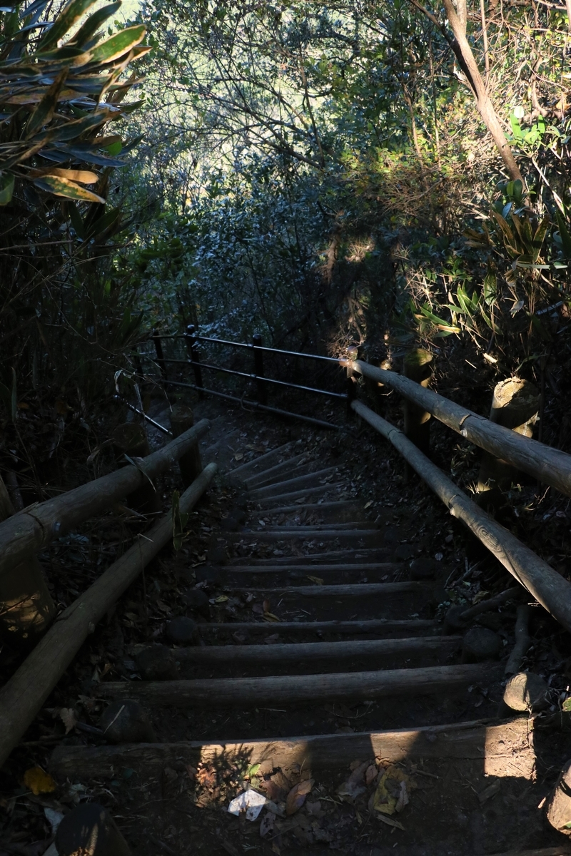 f:id:mountori:20201216203332j:plain