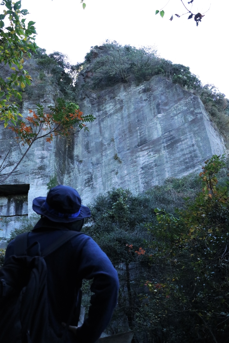 f:id:mountori:20201216204825j:plain