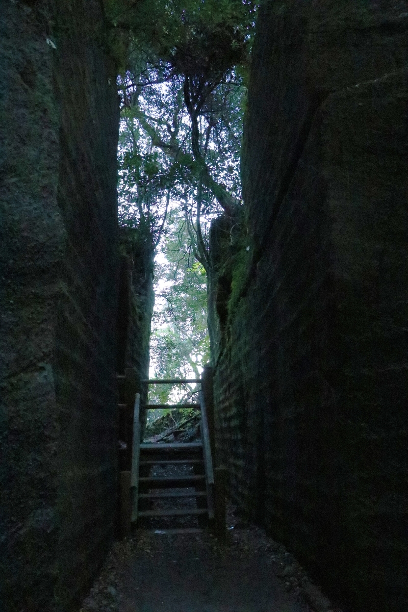 f:id:mountori:20201216205540j:plain