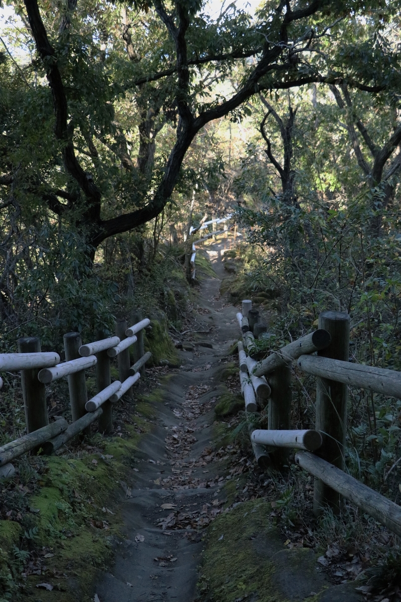 f:id:mountori:20201216205820j:plain