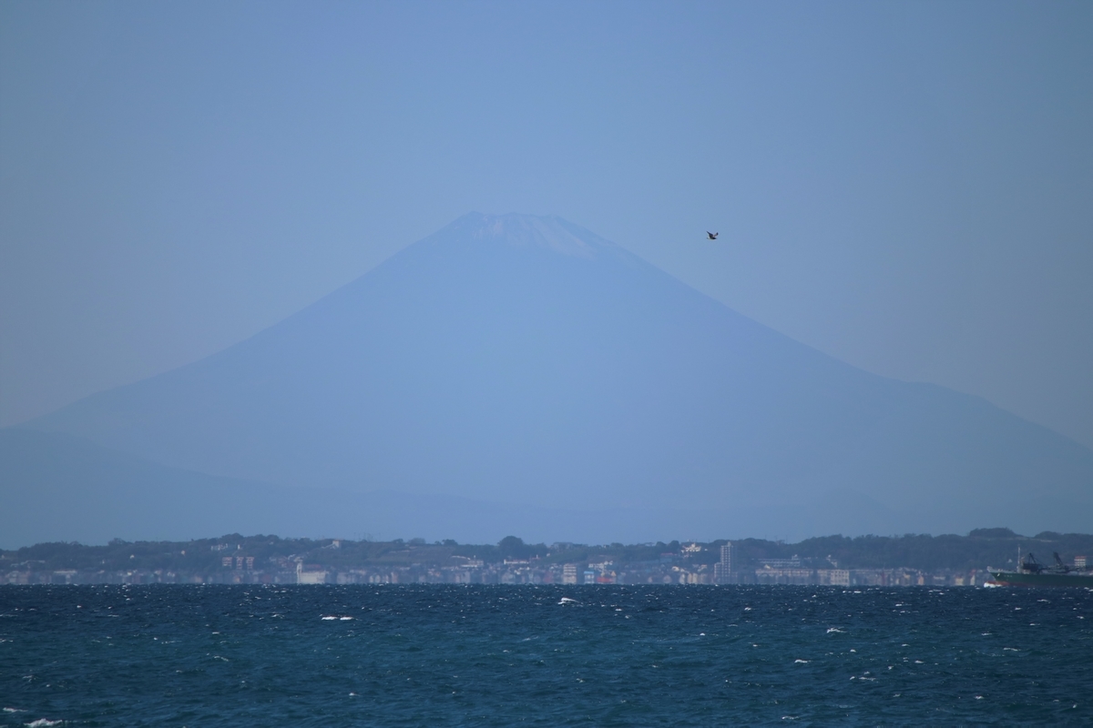 f:id:mountori:20201222230824j:plain