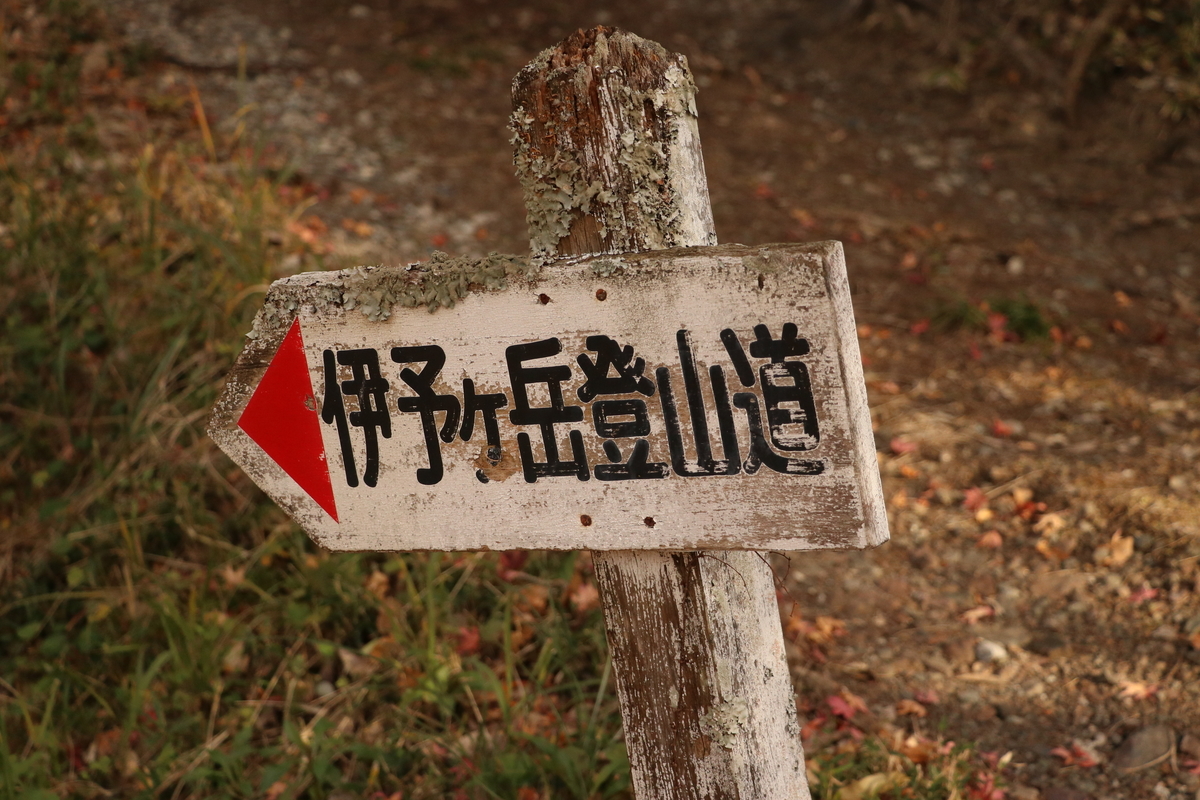 f:id:mountori:20210104192655j:plain