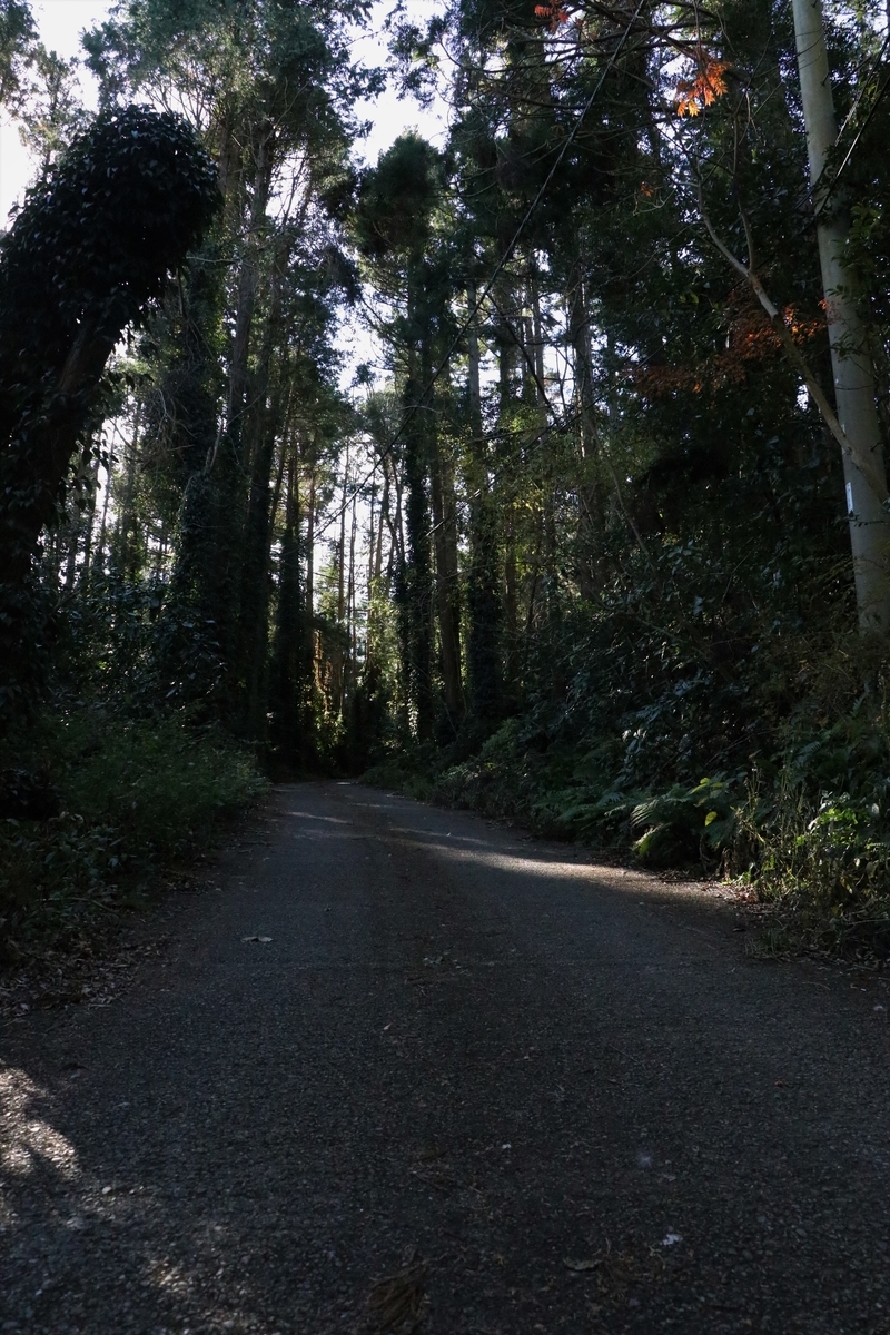 f:id:mountori:20210107190252j:plain