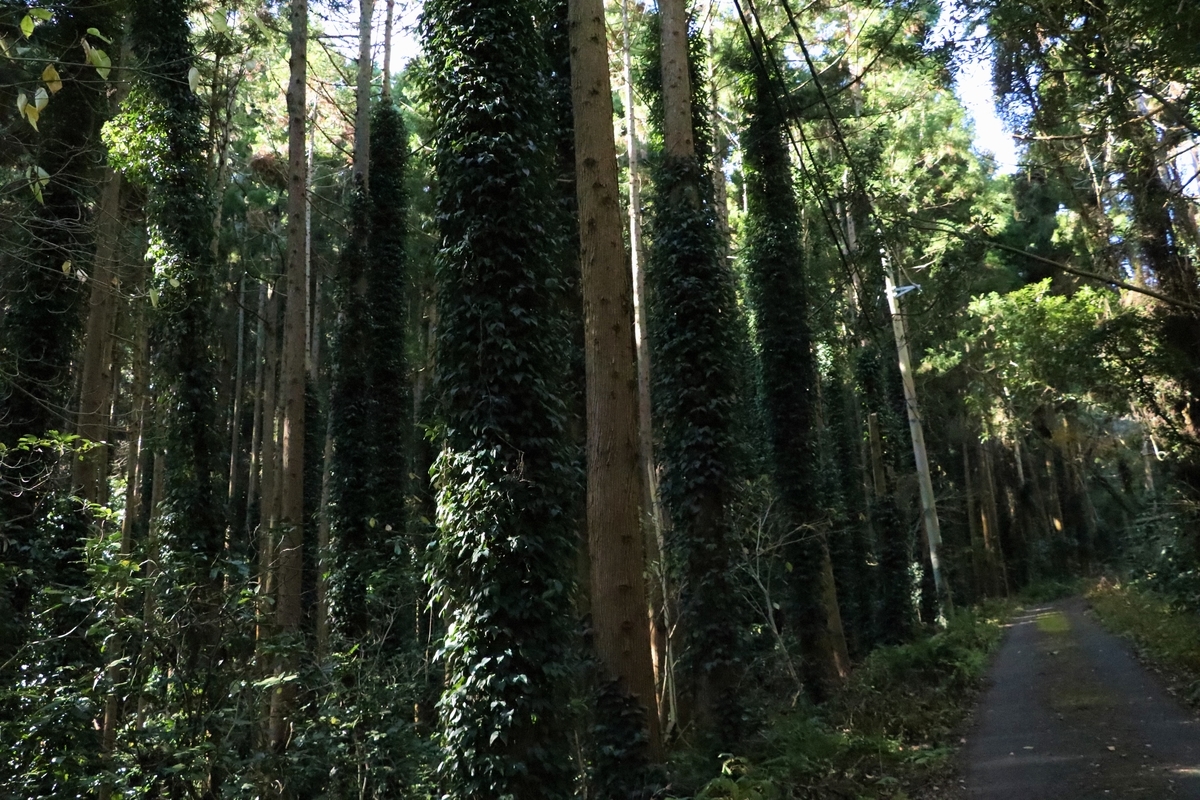 f:id:mountori:20210107190522j:plain