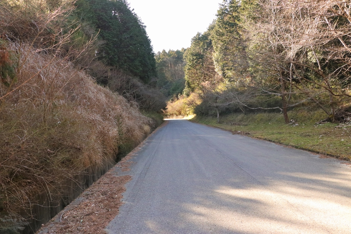 f:id:mountori:20210313130034j:plain