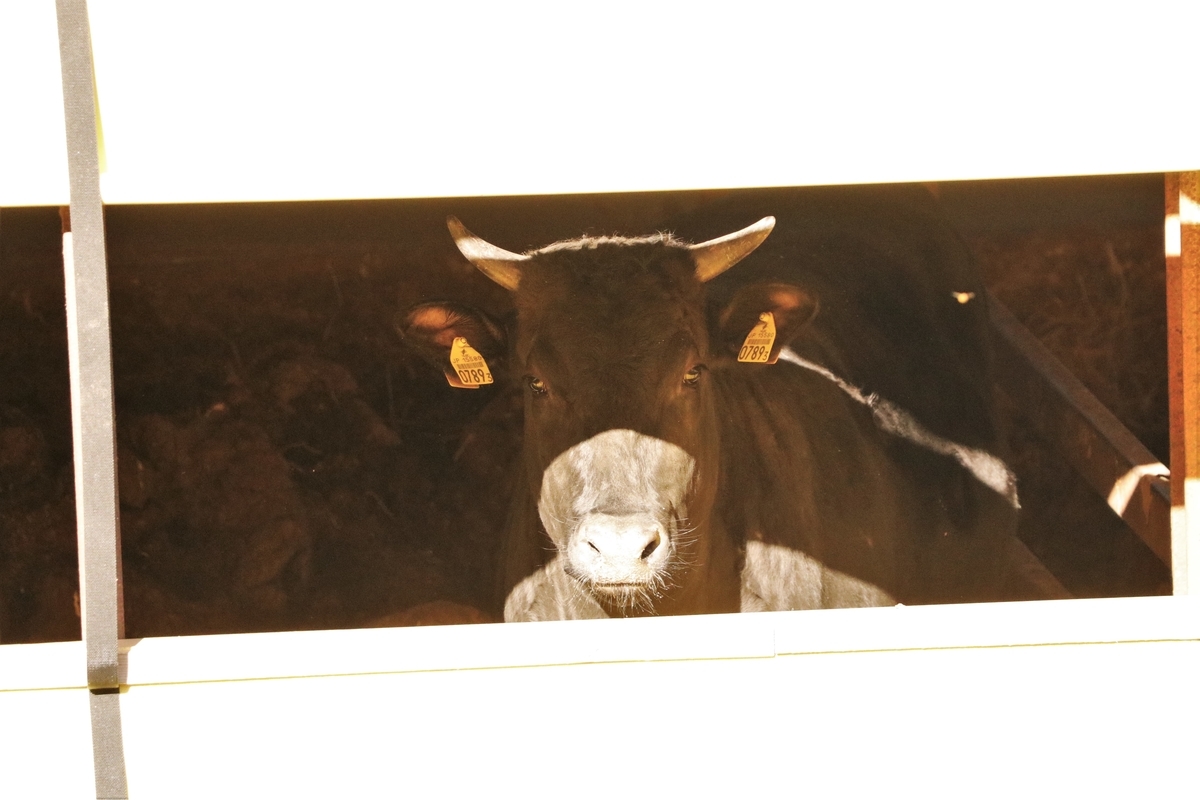 f:id:mountori:20210313130509j:plain