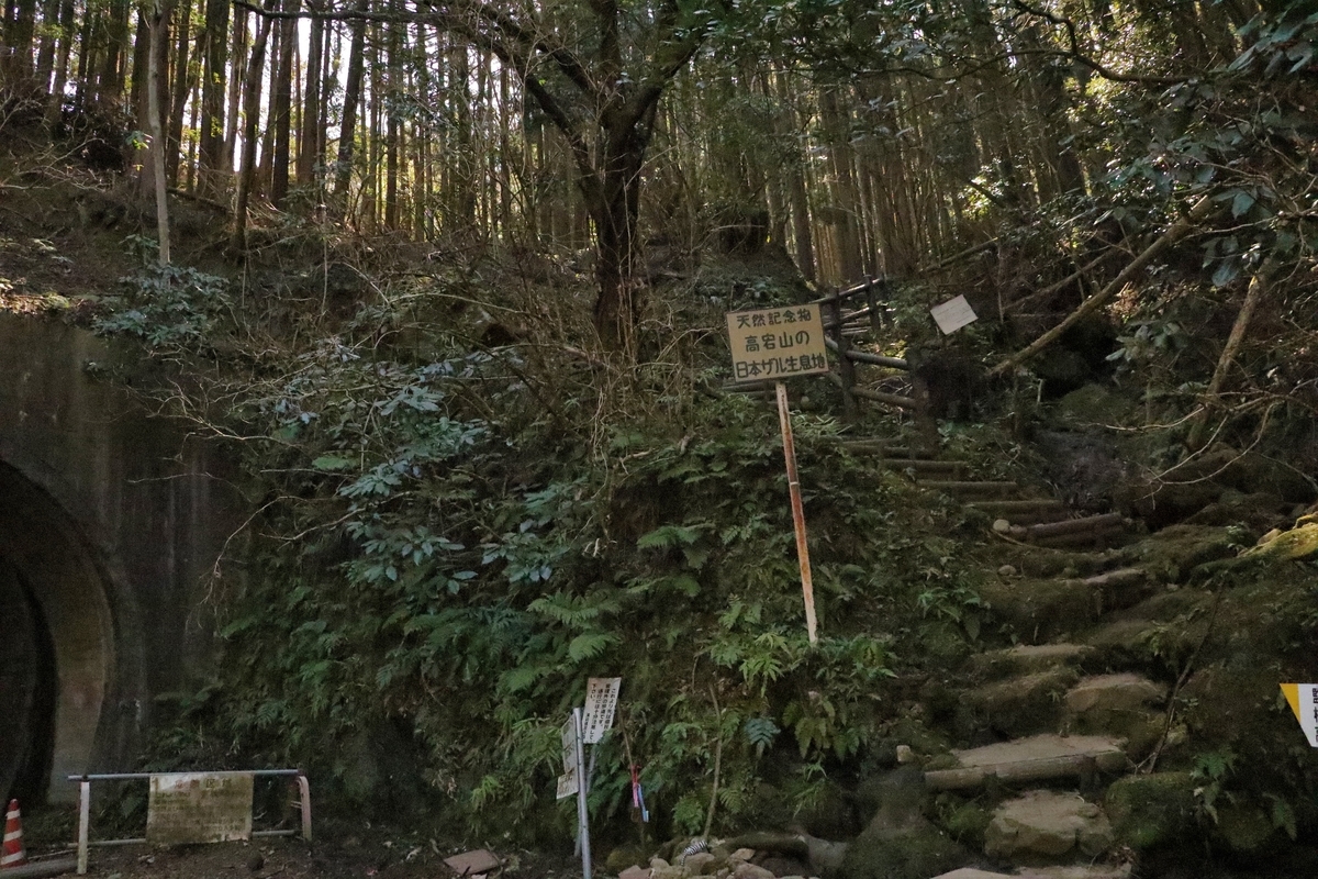 f:id:mountori:20210313140348j:plain