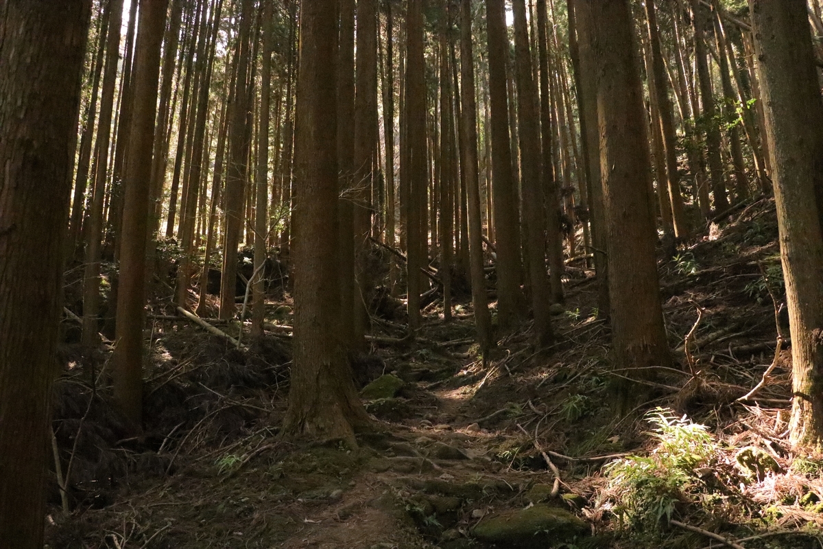 f:id:mountori:20210313140837j:plain