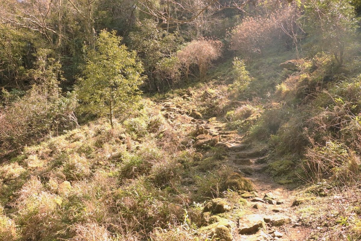 f:id:mountori:20210313141002j:plain