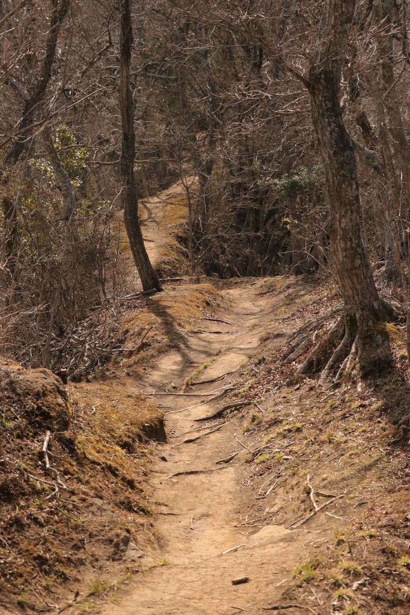 f:id:mountori:20210313183147j:plain