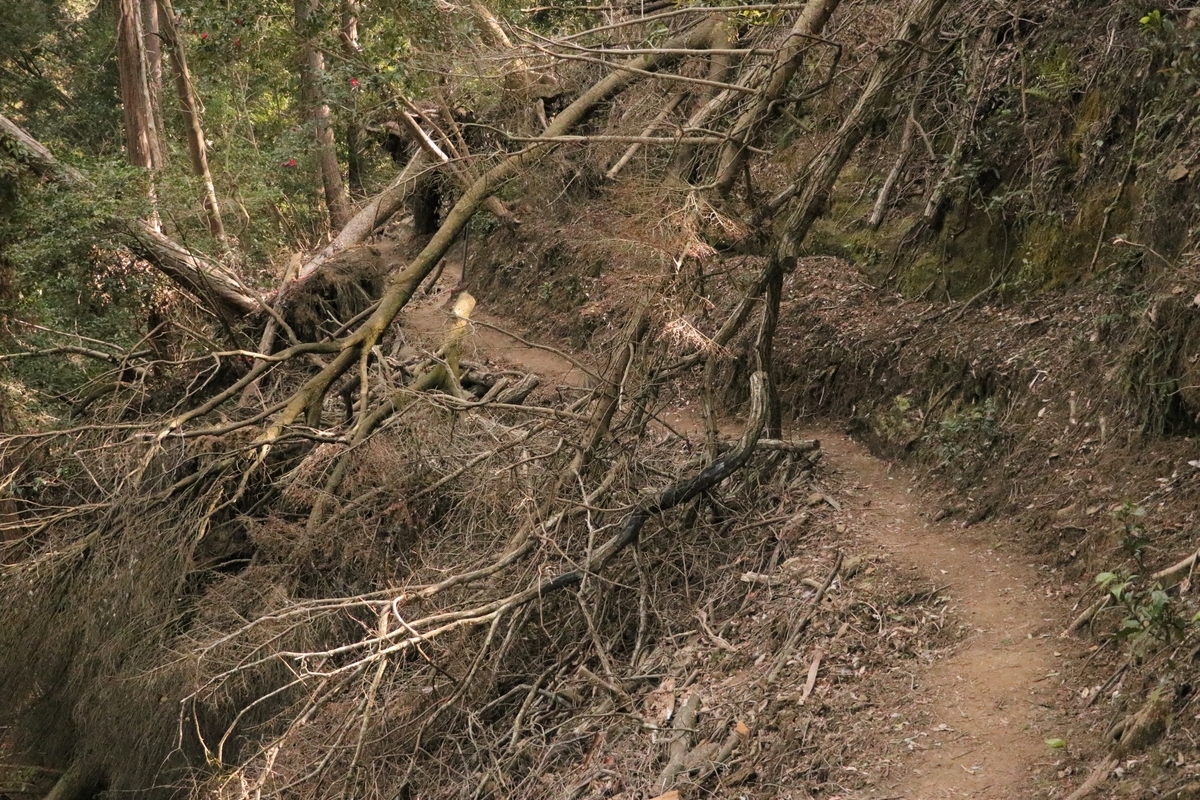 f:id:mountori:20210313183536j:plain