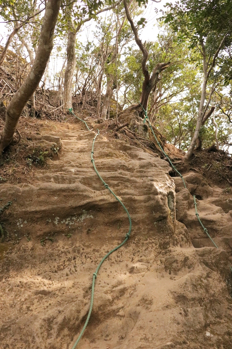 f:id:mountori:20210313184936j:plain