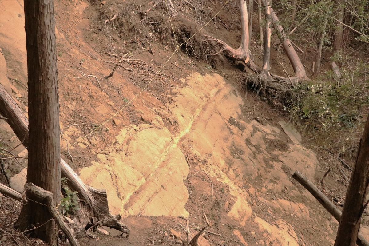 f:id:mountori:20210313193033j:plain