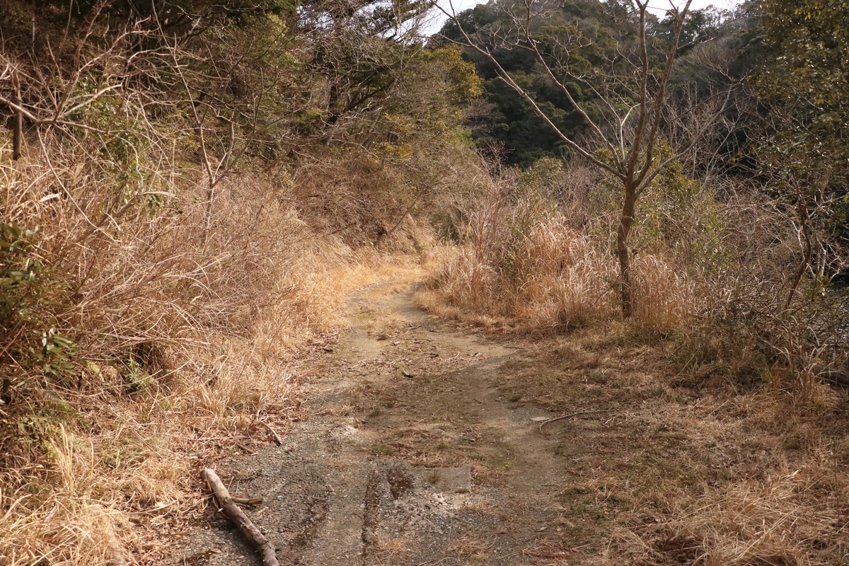 f:id:mountori:20210320173229j:plain
