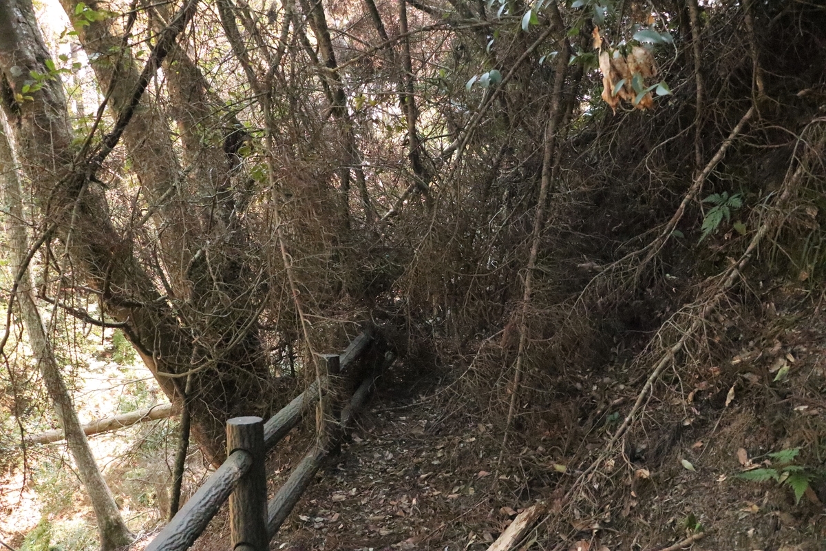 f:id:mountori:20210320182055j:plain