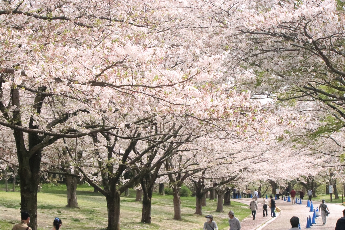 f:id:mountori:20210406214712j:plain