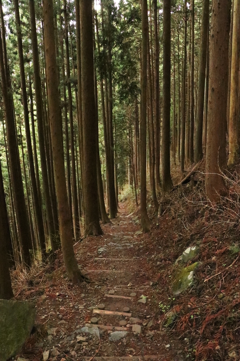 f:id:mountori:20210508215627j:plain