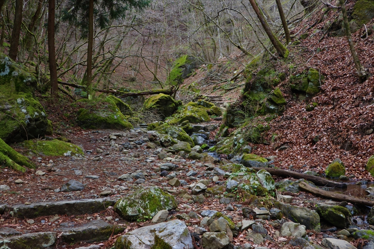 f:id:mountori:20210508224420j:plain