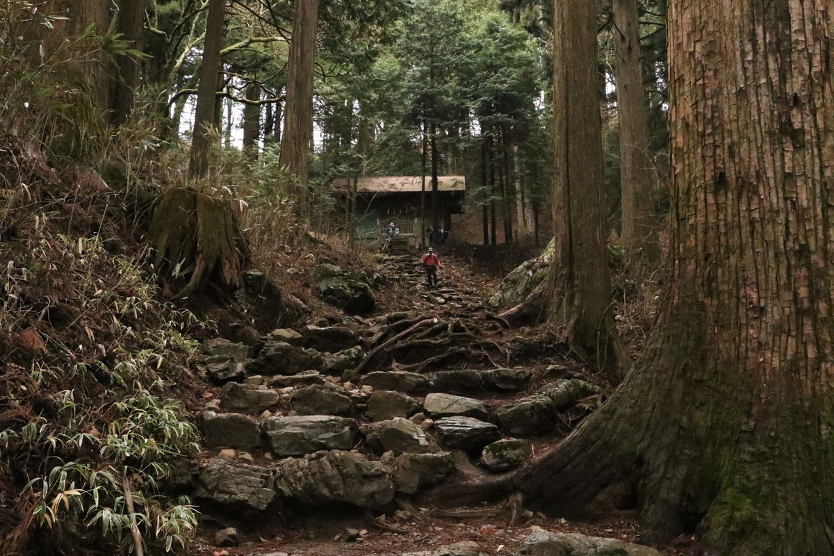 f:id:mountori:20210508230716j:plain