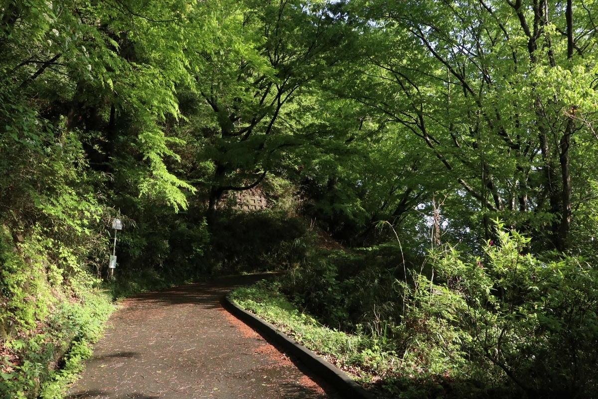f:id:mountori:20210515220958j:plain
