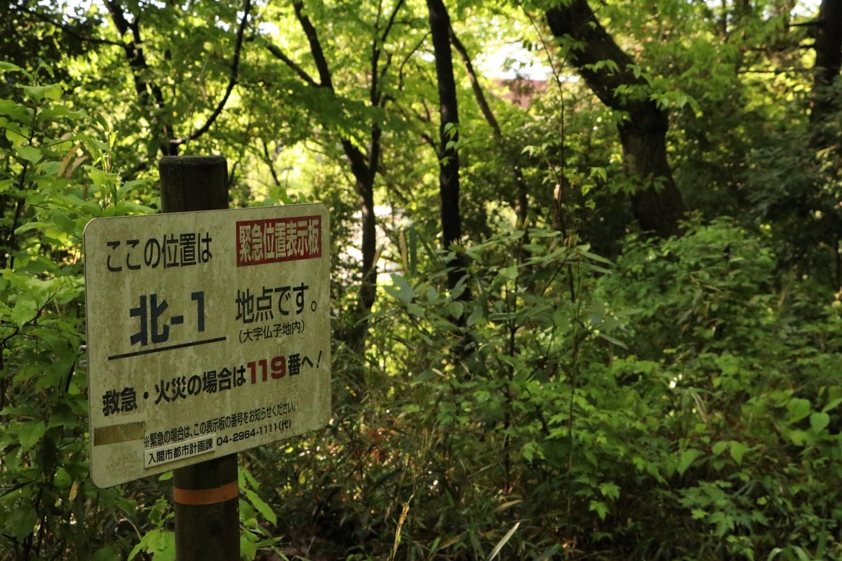 f:id:mountori:20210515221140j:plain
