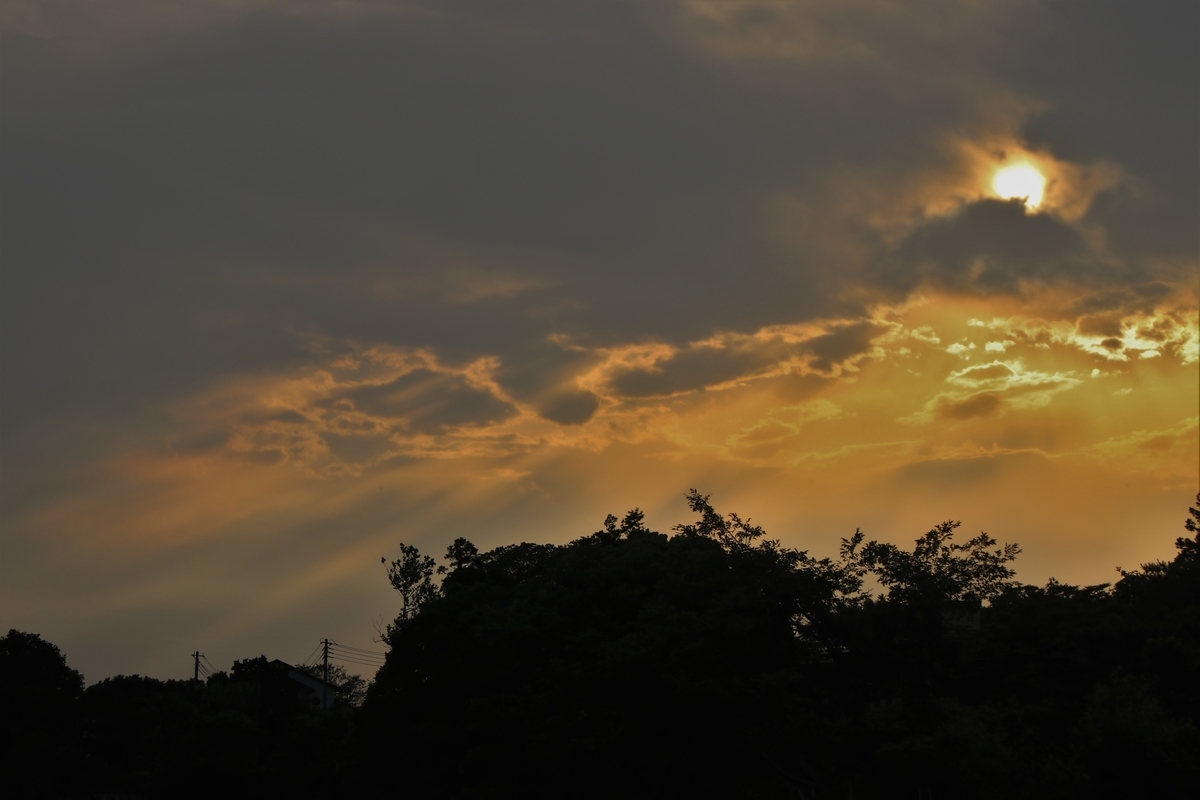 f:id:mountori:20210619183027j:plain
