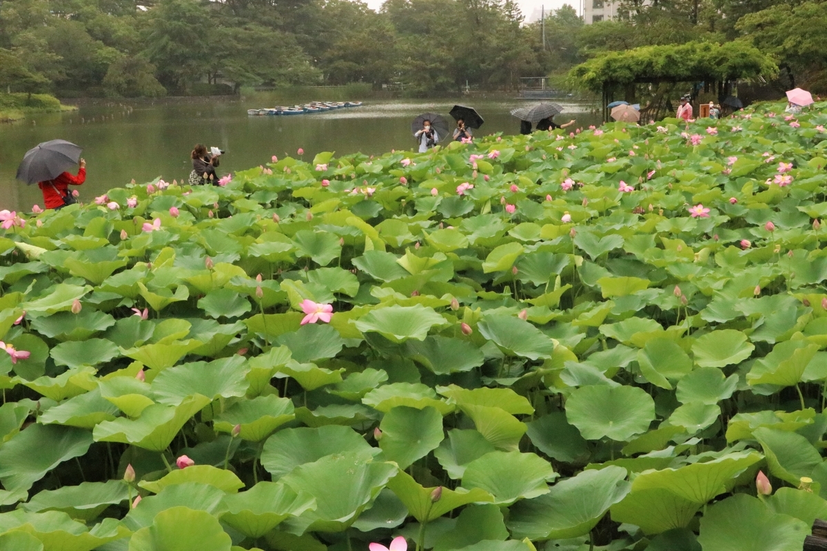 f:id:mountori:20210716144437j:plain