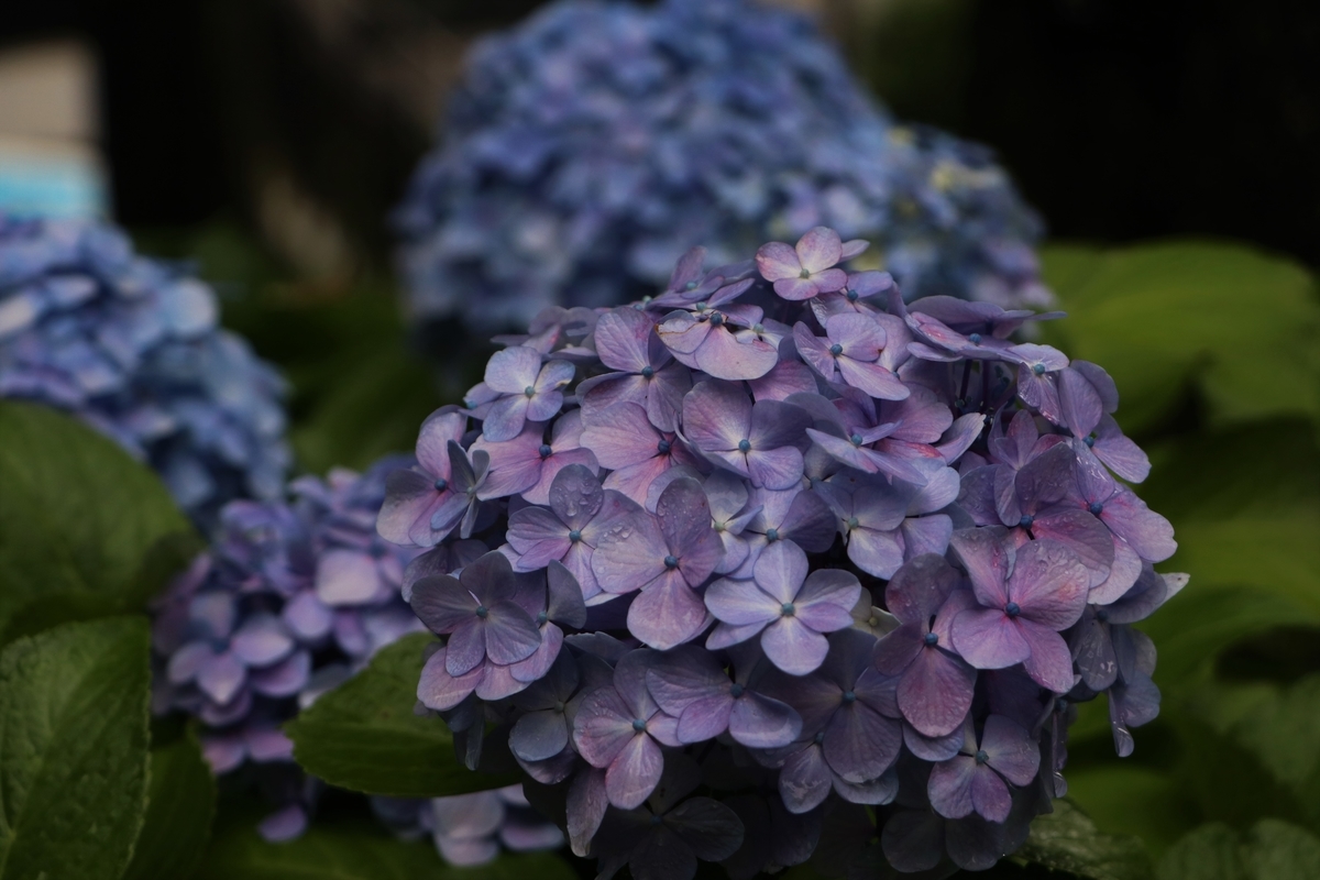 f:id:mountori:20210717114043j:plain