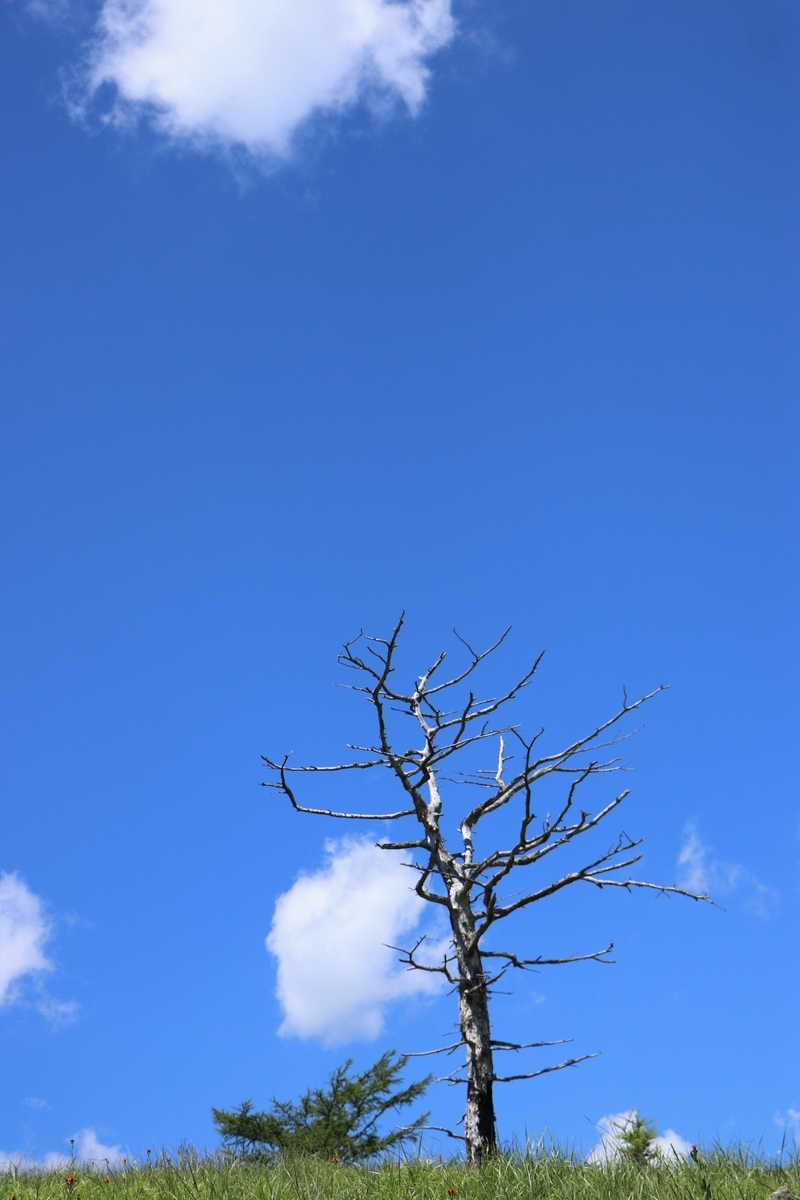 f:id:mountori:20210919232125j:plain
